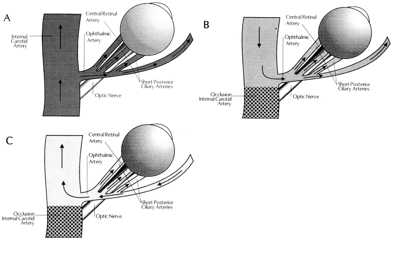 Diagram.jpg