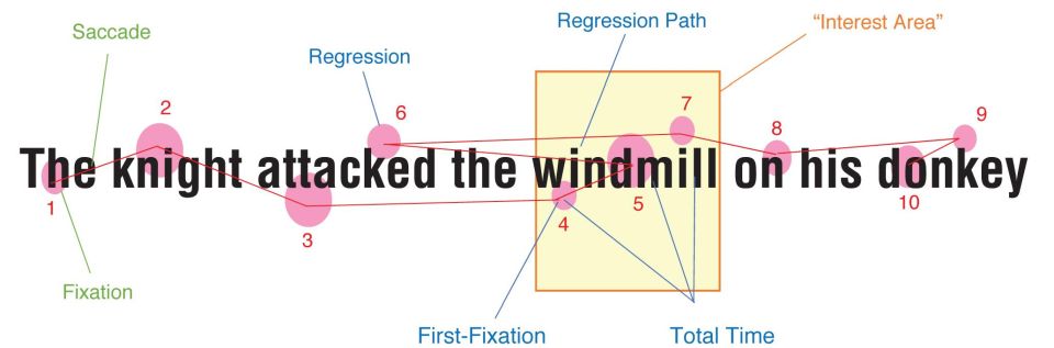 Example of saccades and fixations while reading a sentence. We do not move our eyes smoothly across the text. Reading consists of forward and backwards saccades and fixations.