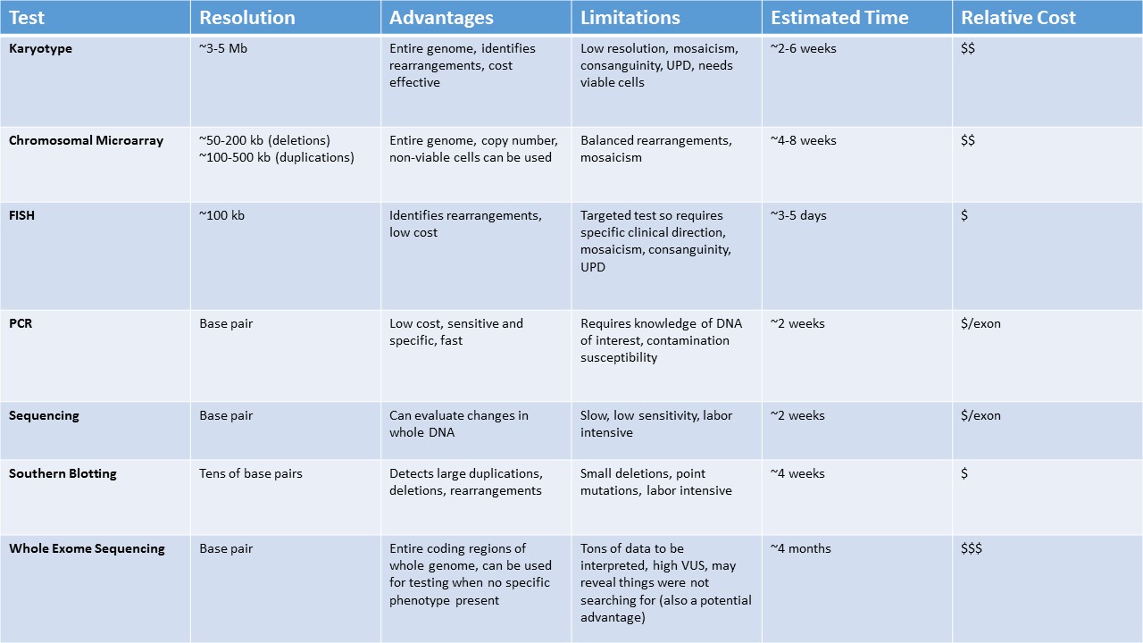 Genetic Test Comparison.jpg