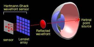 WF fig2.jpg