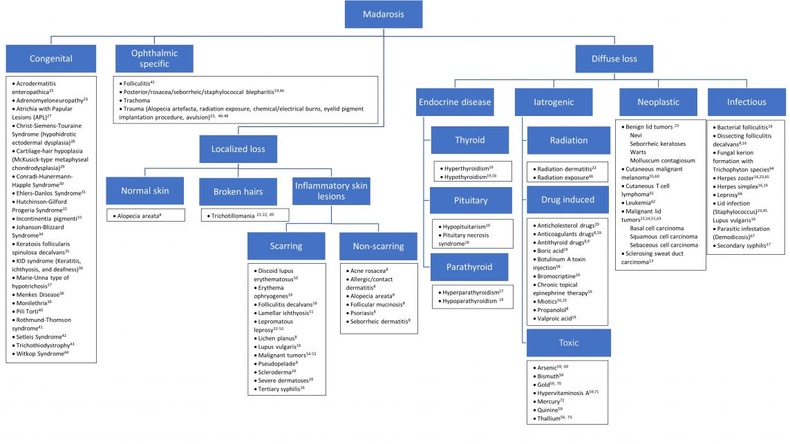 Madarosis DDx 2021.05.20.jpg