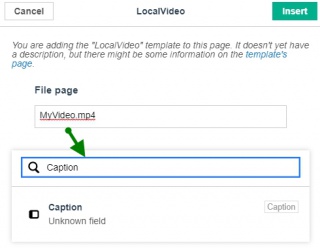 3. Click Add more information to add the caption field and caption of the video: add a Caption field and value just like the steps for the File page.