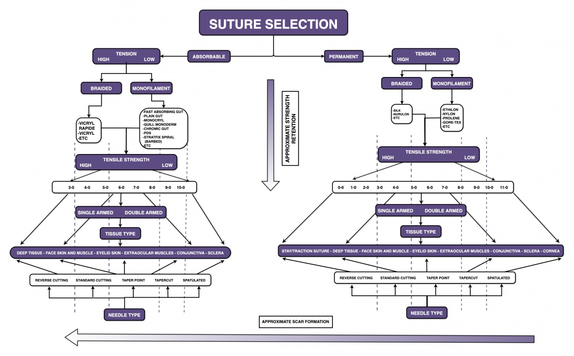 Suture.jpg