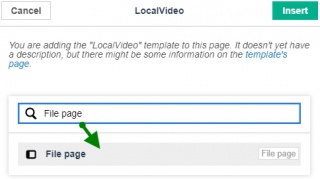 2. Add the File page field: enter File page and click on the grey box Unknown field to insert this new File page field. Then Add the uploaded video filename to the File page field: enter the uploaded video filename for the File page field.