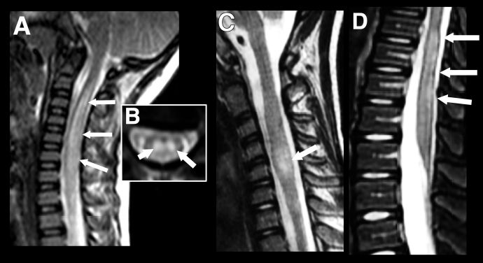 Fig4JPG2.jpg