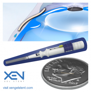 Xen gel stent