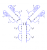 Adalimumab structure.png